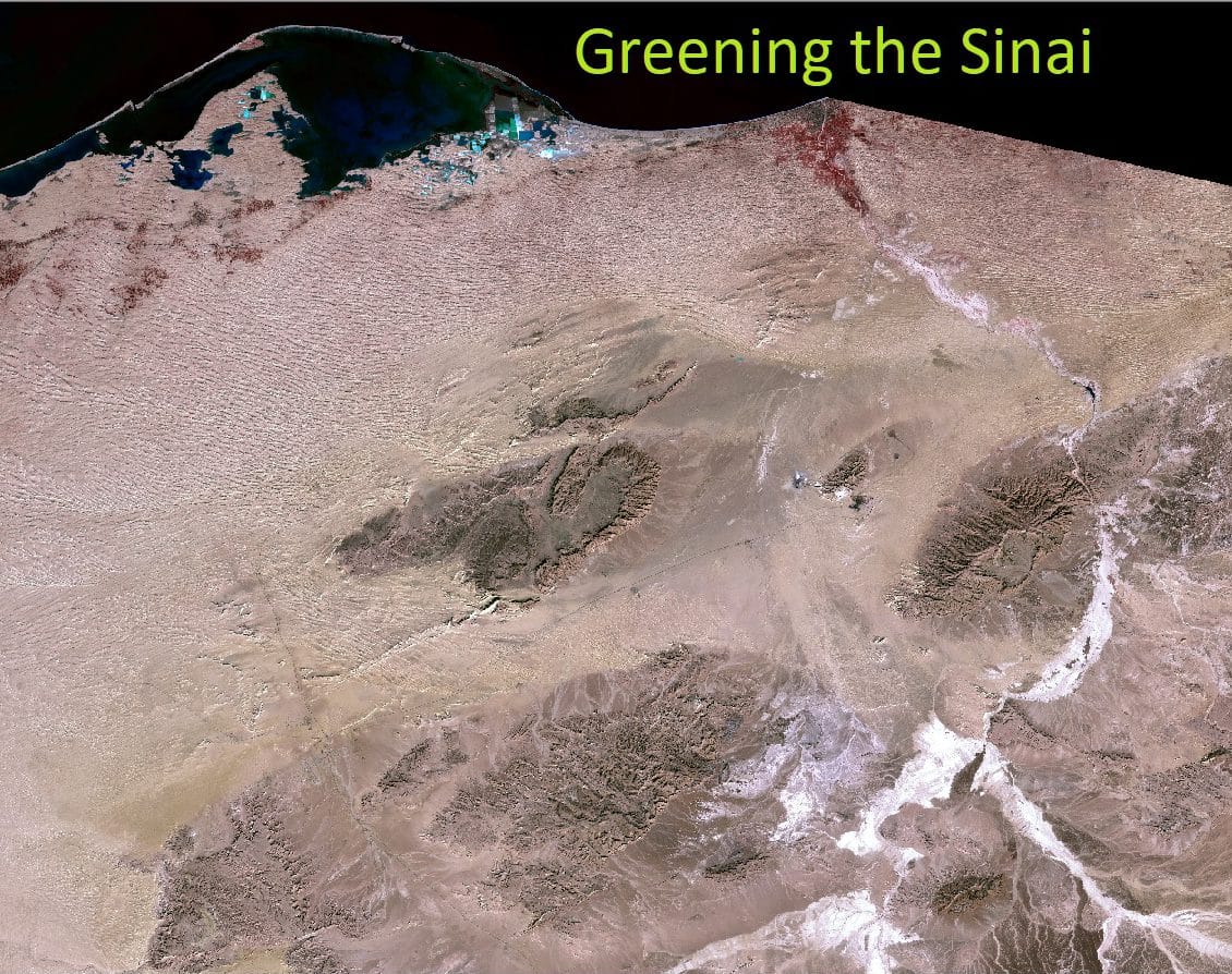 Greening the Sinai