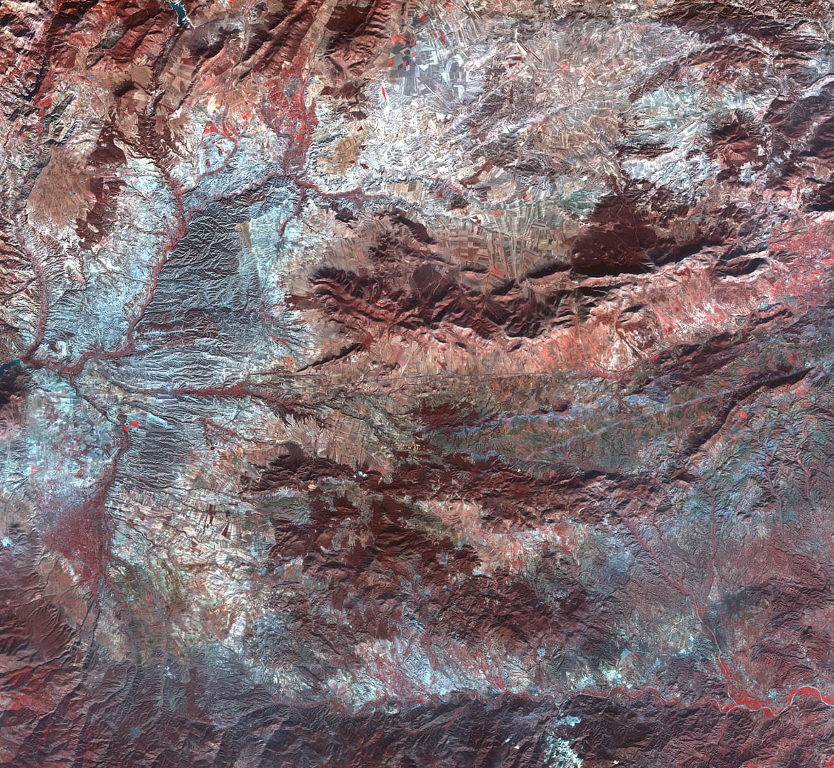 ALVELAL Sentinel2 satellite image. False color comp[osite. Date: 16-2-2015
