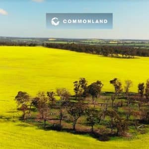 Commonland-2